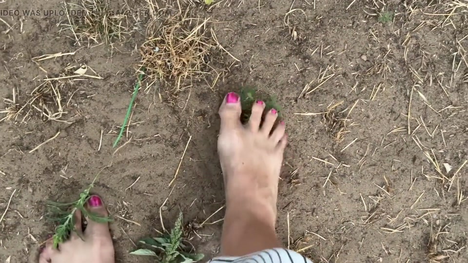 Dirty Feet in the Garden screenshot 2