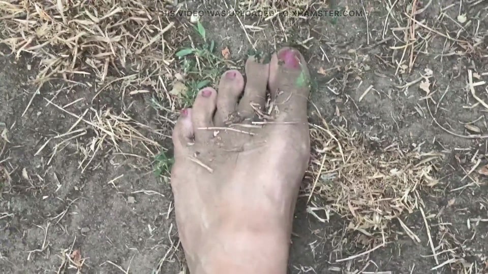 Dirty Feet in the Garden screenshot 3