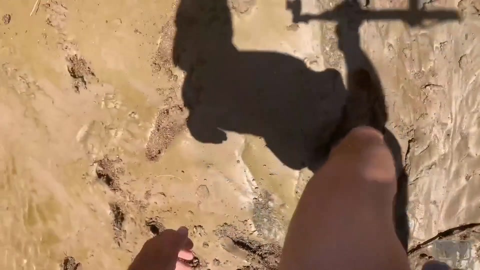 Sparks Go Wild Playing in the Mud screenshot 2