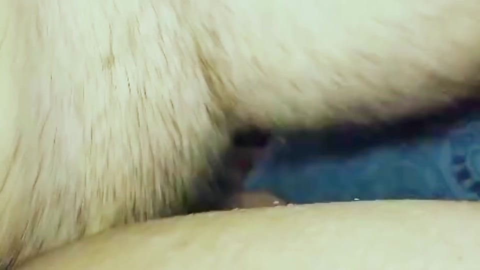 I love anal sex so my boyfriend Fucking hard anal hole - Shopna25 screenshot 2