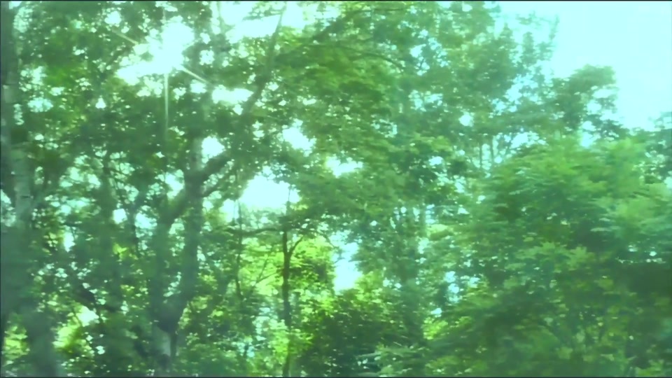The Duchess Casati screenshot 1