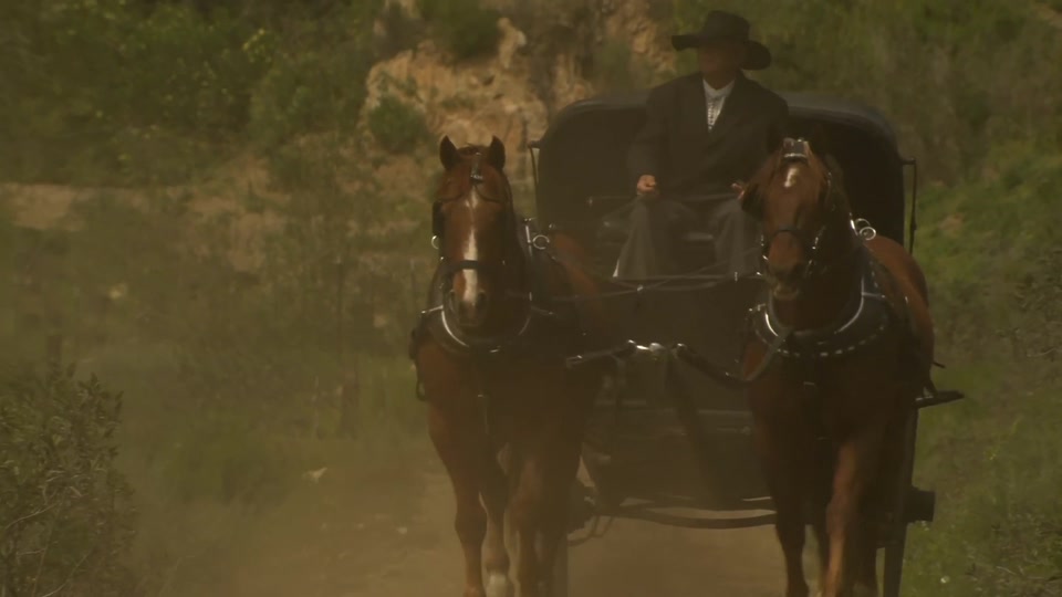 Carriage Sex in the Wild West - Curly Brunette in a Corset Rides Cock screenshot 4
