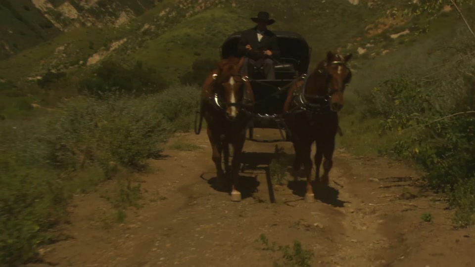 Carriage Sex in the Wild West - Curly Brunette in a Corset Rides Cock screenshot 5