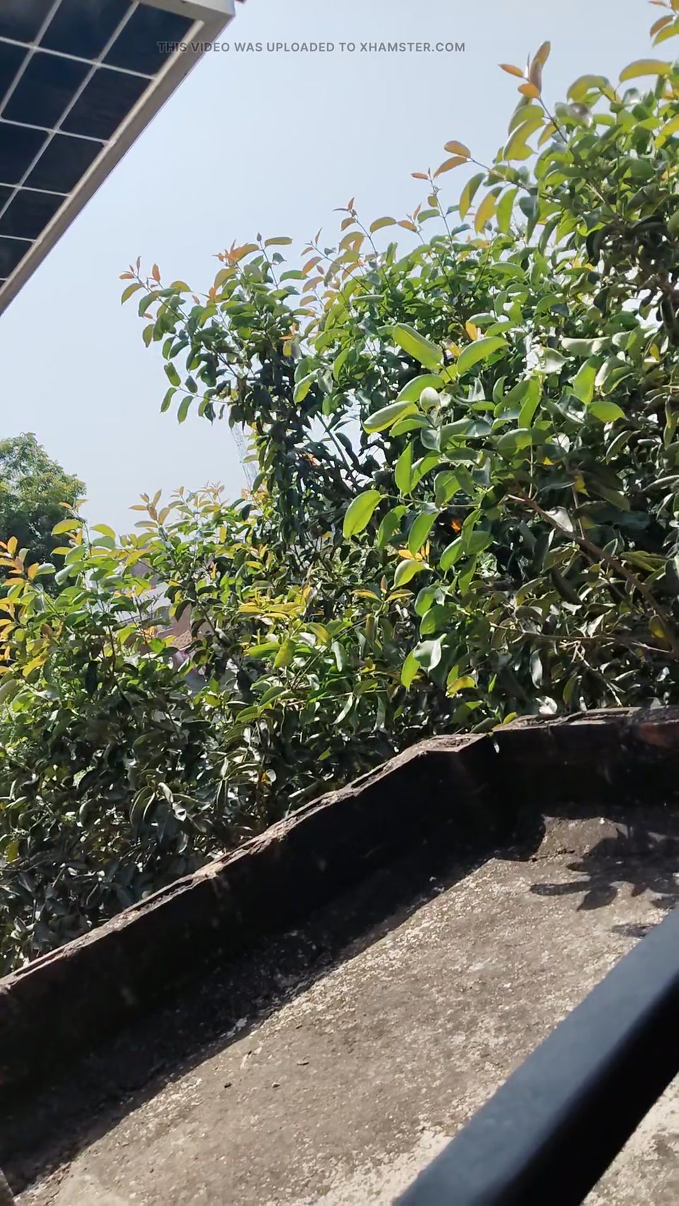 Babhu ki chudai screenshot 1