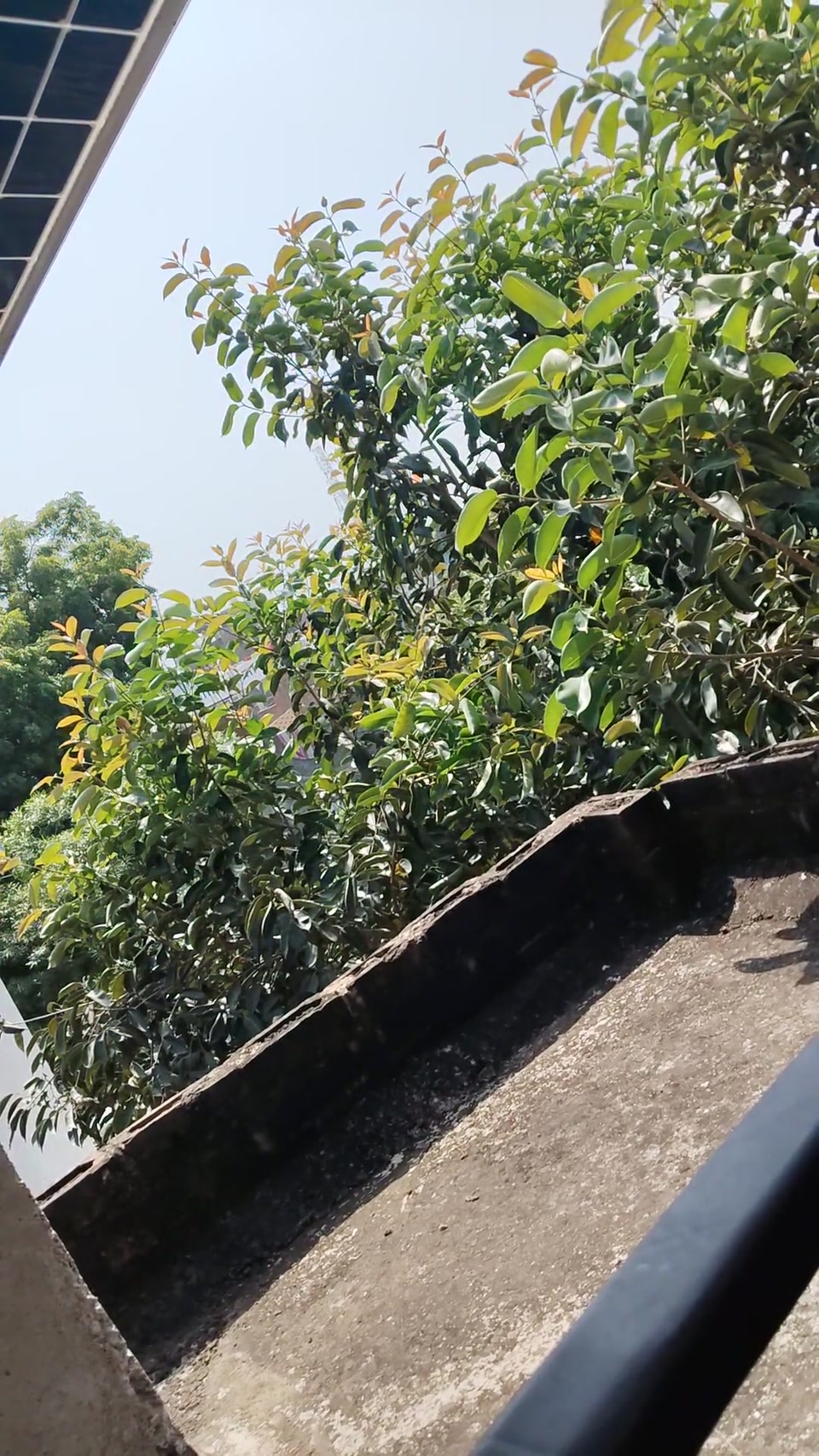 Babhu ki chudai screenshot 2