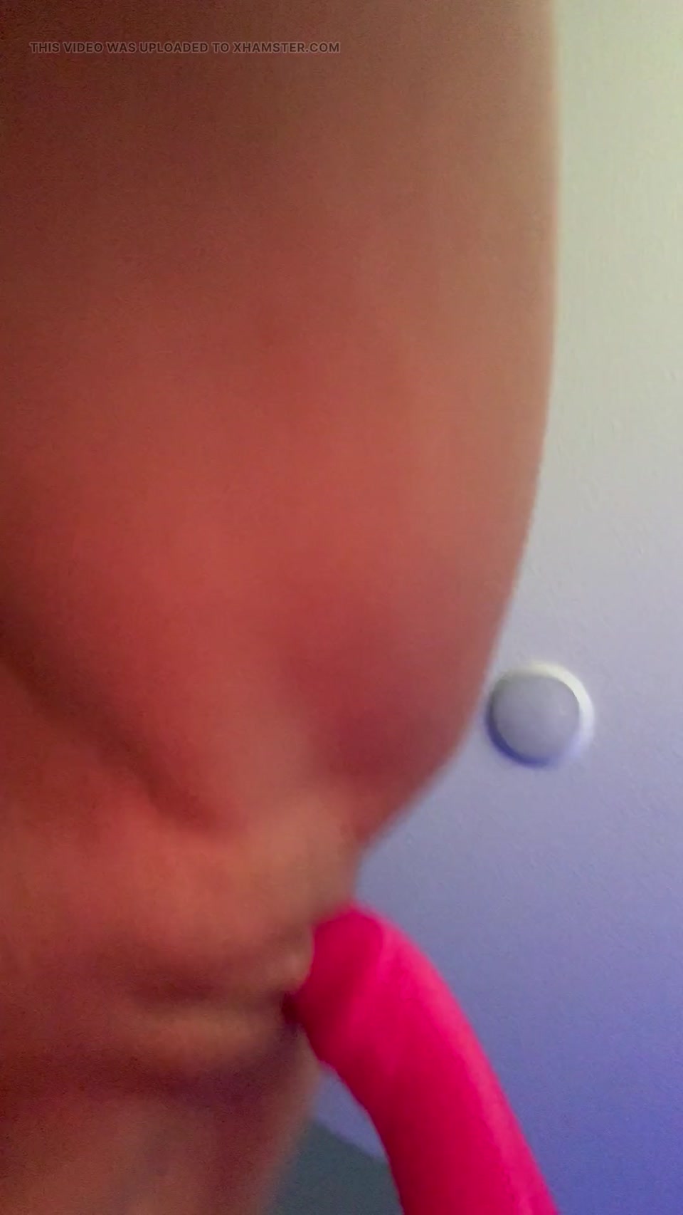 Asian Vidalia screenshot 2