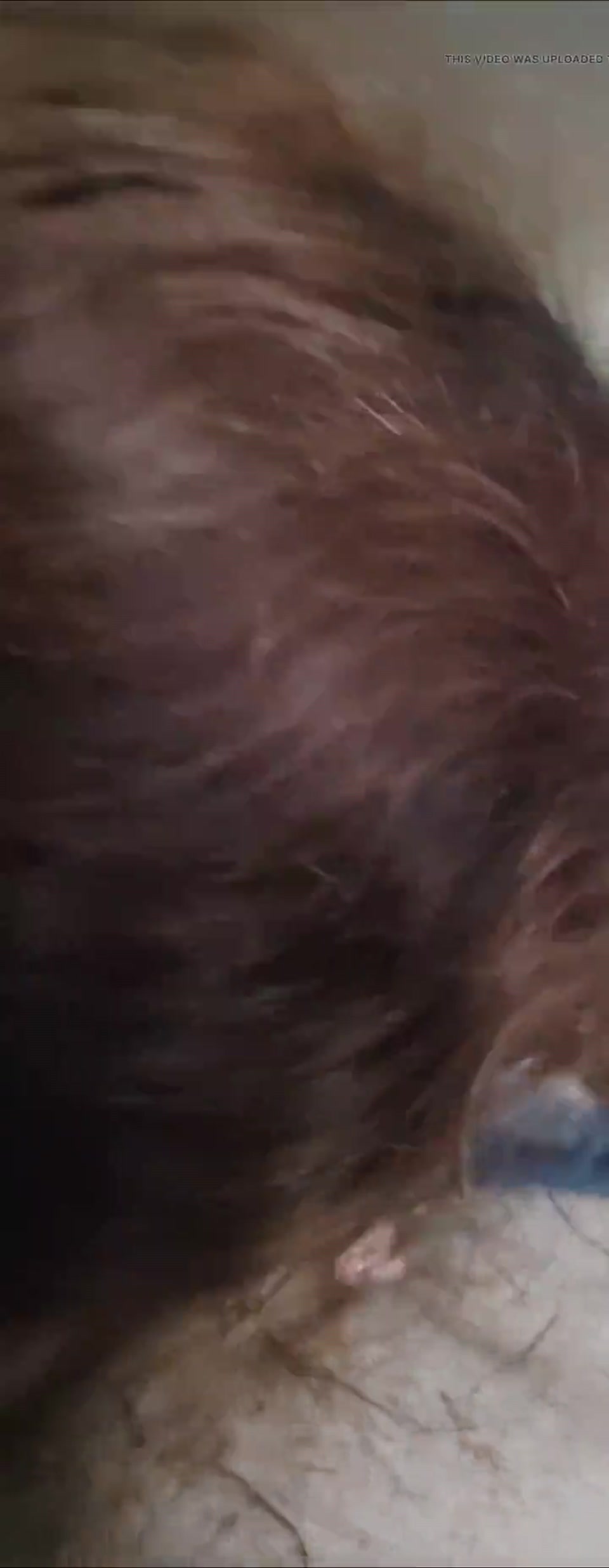wife blowjob me screenshot 2