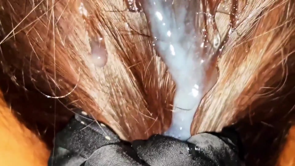 This Natural Remedy Will Strengthen Your HAIR! Cumshot on Hair. Brushing Cum Into Hair.